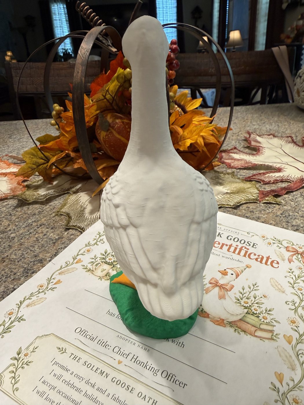 Goose, back view