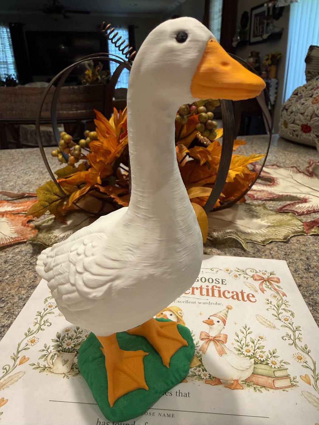 Desk goose standing on its adoption certificate