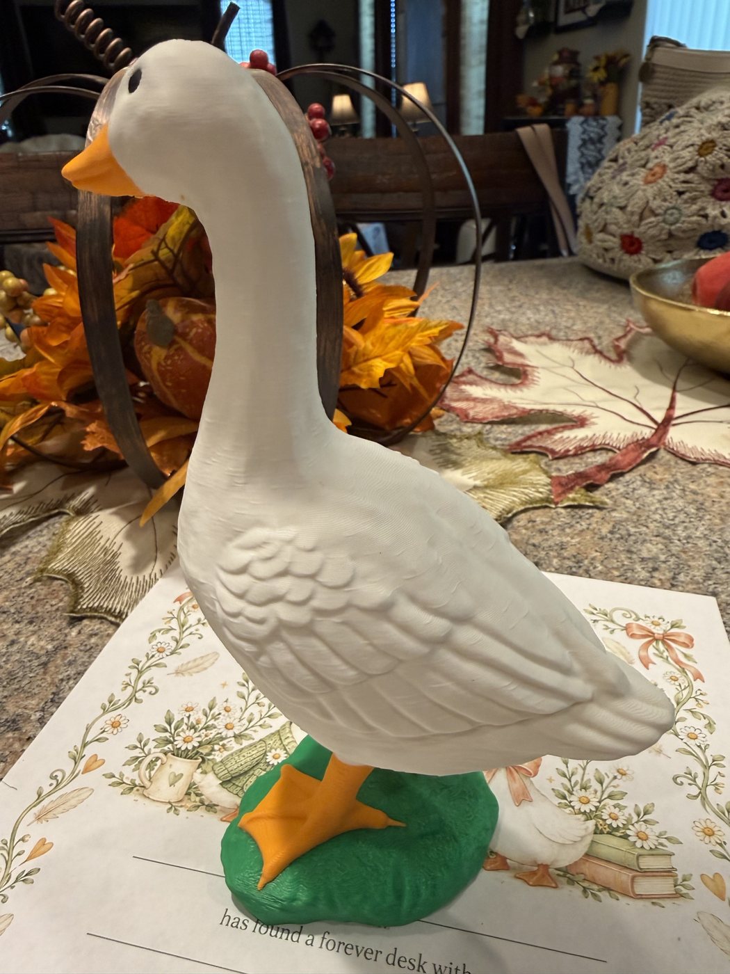 Goose, side view